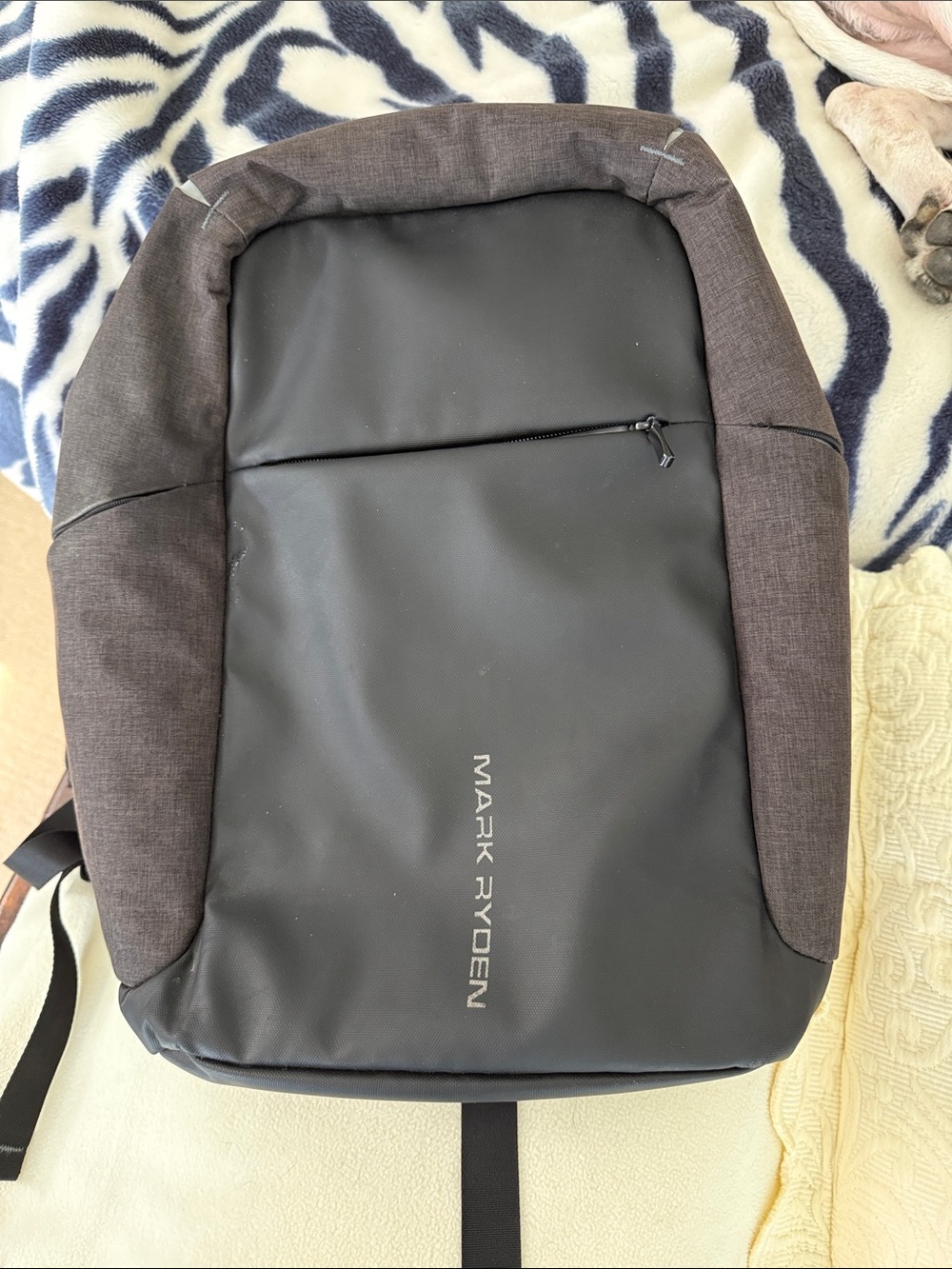 Black & Dark Gray Anti-Theft Backpack